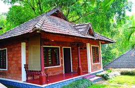 A cottage in Misty Woods in the heart of coffee country